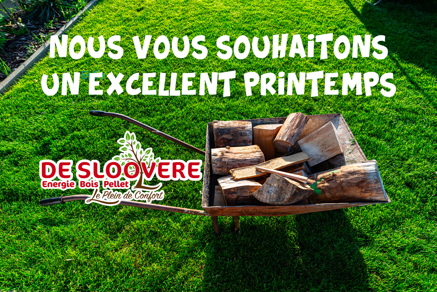 Bois et Pellet à Saint-Amand-les-Eaux